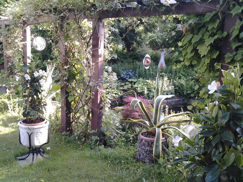 Gartenhaus Steffie Потсдам Екстериор снимка