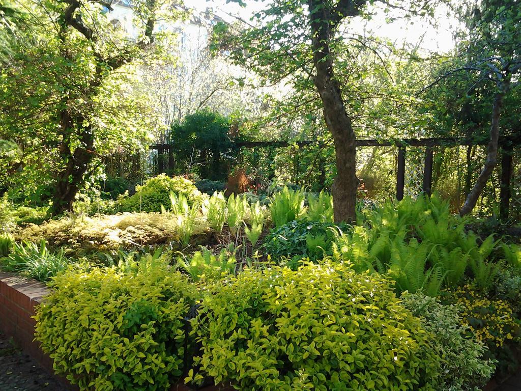 Gartenhaus Steffie Потсдам Екстериор снимка