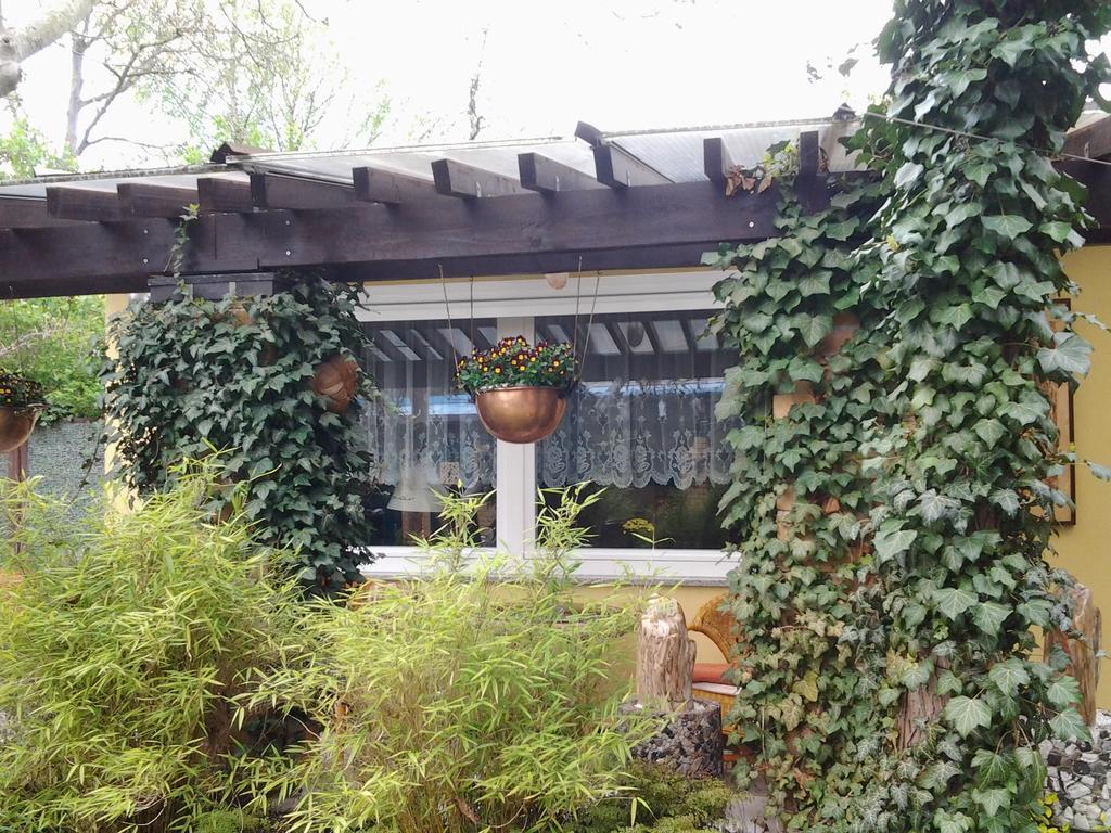 Gartenhaus Steffie Потсдам Екстериор снимка